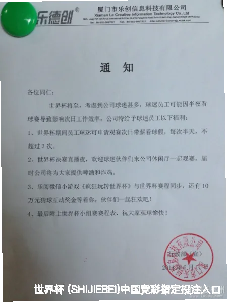 我们的故事：从热爱到专业
